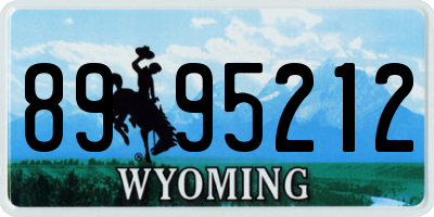 WY license plate 8995212