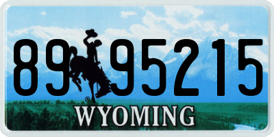 WY license plate 8995215