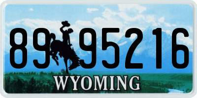WY license plate 8995216