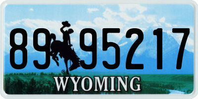WY license plate 8995217