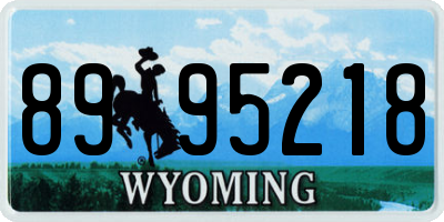 WY license plate 8995218