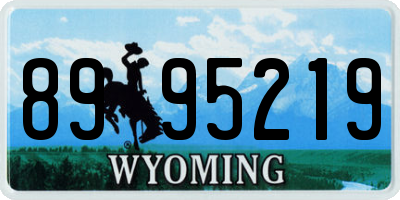 WY license plate 8995219