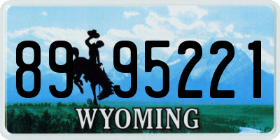 WY license plate 8995221