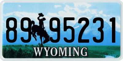 WY license plate 8995231