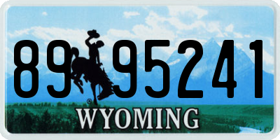 WY license plate 8995241
