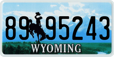 WY license plate 8995243