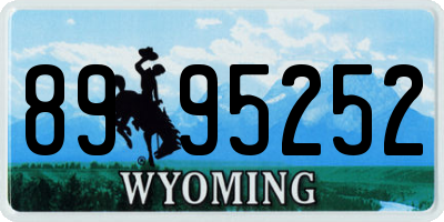 WY license plate 8995252