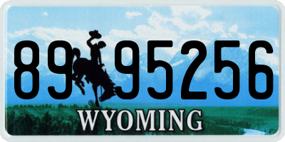 WY license plate 8995256