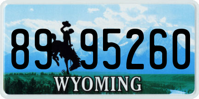 WY license plate 8995260