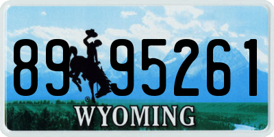 WY license plate 8995261