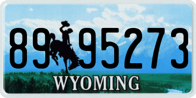 WY license plate 8995273
