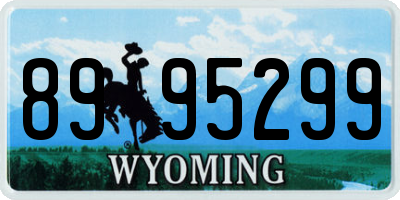 WY license plate 8995299