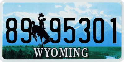 WY license plate 8995301