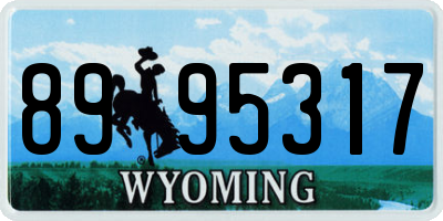 WY license plate 8995317