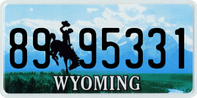 WY license plate 8995331