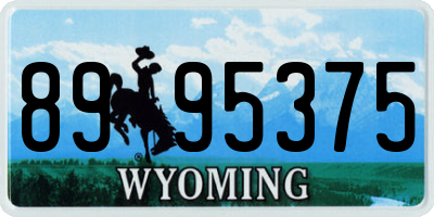 WY license plate 8995375