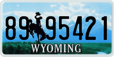 WY license plate 8995421