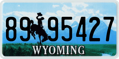 WY license plate 8995427