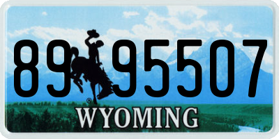 WY license plate 8995507