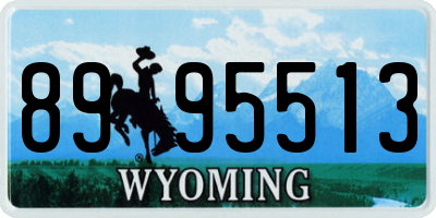 WY license plate 8995513