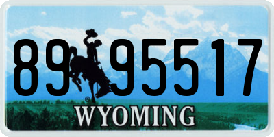 WY license plate 8995517