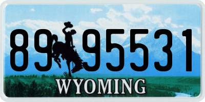 WY license plate 8995531