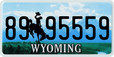 WY license plate 8995559