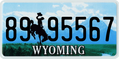 WY license plate 8995567