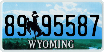 WY license plate 8995587