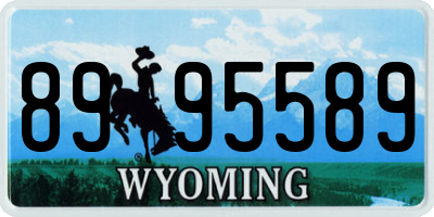 WY license plate 8995589