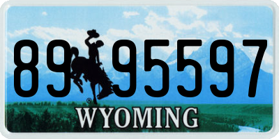 WY license plate 8995597