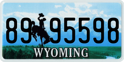 WY license plate 8995598
