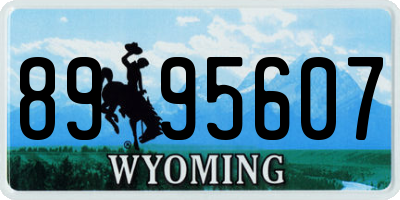 WY license plate 8995607