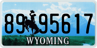 WY license plate 8995617