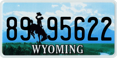WY license plate 8995622