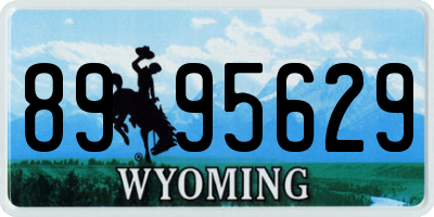 WY license plate 8995629