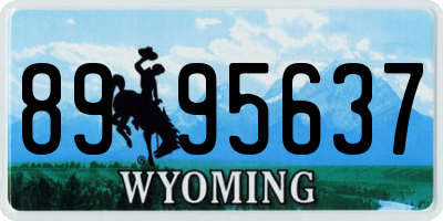WY license plate 8995637