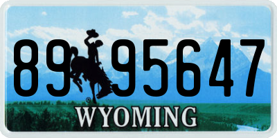 WY license plate 8995647