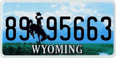 WY license plate 8995663