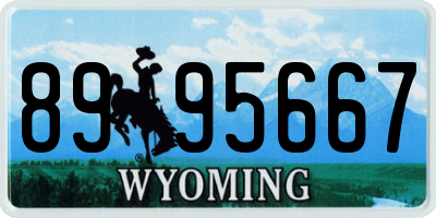 WY license plate 8995667