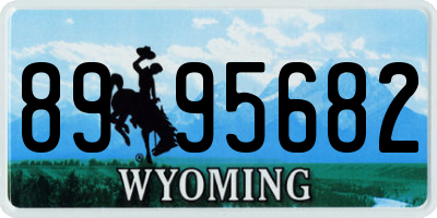 WY license plate 8995682
