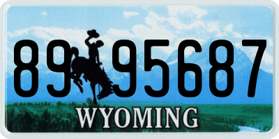 WY license plate 8995687