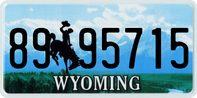 WY license plate 8995715