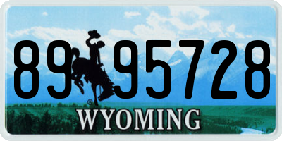 WY license plate 8995728