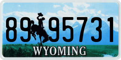 WY license plate 8995731