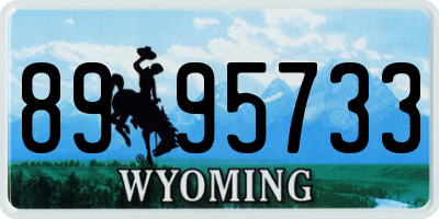 WY license plate 8995733