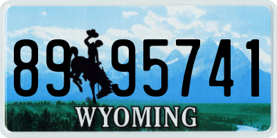 WY license plate 8995741