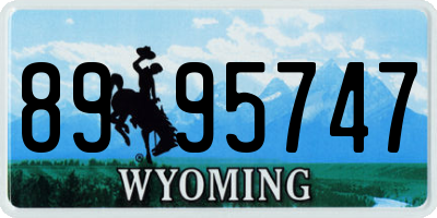 WY license plate 8995747