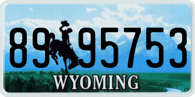 WY license plate 8995753