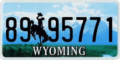 WY license plate 8995771